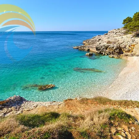 Vida 1682 Apartament